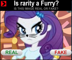 Size: 715x593 | Tagged: safe, artist:sambohhh, artist:sammifx, rarity, equestria girls, g4, alternate universe, angry, clothes, costume, eqg promo pose set, equestria girls: the parody series, female, furry, has science gone too far?, image macro, meme, real or fake, solo, unamused, upset, whiskers