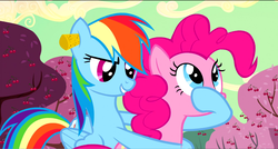 Size: 1360x730 | Tagged: safe, screencap, pinkie pie, rainbow dash, pony, g4, the last roundup, cherry blossoms, cherry tree, cork, ear plugs, flower, flower blossom, hoof over mouth, tree