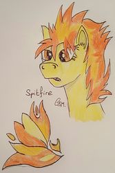 Size: 963x1440 | Tagged: safe, artist:rapidsnap, spitfire, pony, g4, bust, cutie mark, female, solo, traditional art