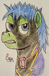 Size: 943x1440 | Tagged: safe, artist:rapidsnap, oc, oc only, oc:rapidsnap, pony, angry, bust, clothes, costume, glare, peeved, shadowbolts, shadowbolts costume, solo, traditional art