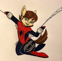 Size: 2275x2245 | Tagged: safe, artist:ameliacostanza, earth pony, pony, clothes, costume, crossover, high res, male, marvel, may "mayday" parker, ponified, solo, spider-girl, spider-man, superhero, swinging, traditional art