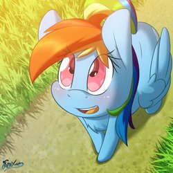 Size: 894x894 | Tagged: safe, artist:fluffyxai, rainbow dash, pegasus, pony, g4, chest fluff, cute, dashabetes, female, grass, looking up, smiling, solo