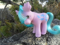 Size: 1600x1200 | Tagged: safe, artist:namineeveninglight, oakly, moose, pony, g1, irl, photo, pony friends, solo, toy