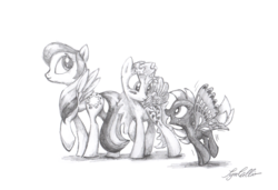 Size: 2709x1853 | Tagged: safe, artist:syncallio, buzzer (g1), morning glory, starshine, g1, g4, g1 to g4, generation leap, pencil drawing, race swap, summer wing ponies, traditional art