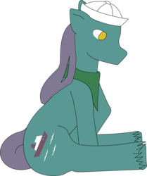 Size: 727x869 | Tagged: safe, artist:cassidypeterson, salty (g1), pony, g1, g4, bandana, g1 to g4, generation leap, male, neckerchief, sailor hat, simple background, solo, stallion, transparent background, unshorn fetlocks