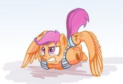 Size: 624x425 | Tagged: safe, scootaloo, pegasus, pony, semi-anthro, g4, female, hooves behind back, military, push-ups, russian, solo, tattoo, vdv, wing-ups