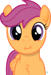 Size: 1983x2871 | Tagged: safe, artist:arifproject, scootaloo, pegasus, pony, g4, :i, arif's scrunchy pone, cute, female, filly, looking at you, simple background, solo, transparent background, vector