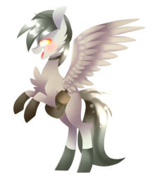 Size: 2209x2505 | Tagged: safe, artist:huirou, oc, oc only, pegasus, pony, chest fluff, high res, simple background, solo, transparent background