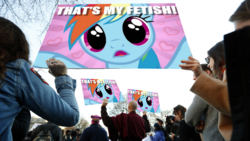 Size: 1400x787 | Tagged: safe, edit, rainbow dash, g4, protest, that is my fetish