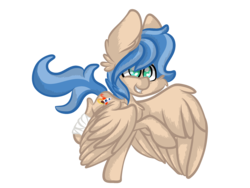 Size: 2048x1536 | Tagged: safe, artist:owl-feather27, oc, oc only, oc:rocket tier, pony, solo