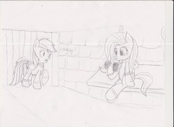 Size: 3501x2550 | Tagged: safe, artist:firelapisjade, fluttershy, rainbow dash, pegasus, pony, g4, cell, female, high res, mare, monochrome, prison, prisoner rd, sitting, sketch, traditional art