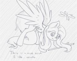 Size: 750x600 | Tagged: safe, artist:malwinters, fluttershy, pony, g4, behaving like a bird, bitches love sticks, dialogue, female, lemme smash, looking at something, looking down, monochrome, parody, solo, spread wings, stick
