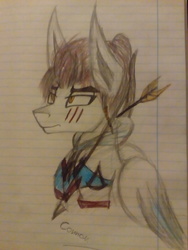 Size: 3072x4096 | Tagged: safe, pony, assassin's creed, connor kenway, high res, lined paper, ponified, solo, traditional art