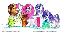 Size: 1024x554 | Tagged: safe, artist:the-pony-project, blossom, blue belle, butterscotch (g1), cotton candy (g1), minty (g1), snuzzle, g1, original six, traditional art