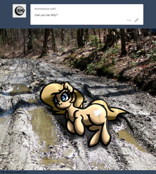 Size: 1280x1420 | Tagged: safe, artist:slavedemorto, oc, oc only, oc:backy, pony, ask, female, forest, irl, mud, photo, ponies in real life, pun, solo, tumblr