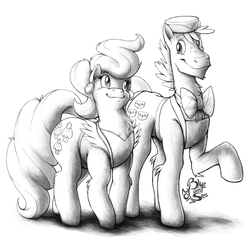 Size: 1000x1000 | Tagged: safe, artist:blue-paint-sea, carrot cake, cup cake, earth pony, pony, g4, clothes, duo, duo male and female, female, husband and wife, male, mare, monochrome, parent, simple background, sketch, smiling, stallion, traditional art, white background