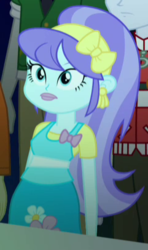 Size: 241x406 | Tagged: safe, screencap, aqua blossom, heath burns, indigo wreath, normal norman, equestria girls, g4, my little pony equestria girls: rainbow rocks, cropped, solo focus