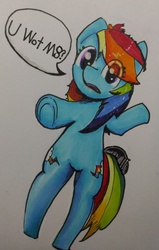 Size: 2104x3308 | Tagged: safe, artist:mr.candy_owo, rainbow dash, pegasus, pony, g4, dialogue, female, high res, mare, marker drawing, simple background, solo, speech bubble, traditional art, u wot m8, white background