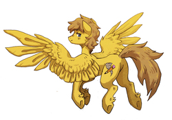 Size: 1957x1366 | Tagged: safe, artist:koviry, oc, oc only, oc:tempest sketch, pegasus, pony, butt, flying, looking back, male, plot, simple background, smiling, solo, underhoof, white background