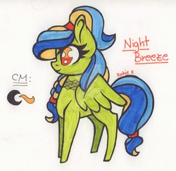 Size: 1024x996 | Tagged: safe, artist:biskhuit, oc, oc only, oc:night breeze, pegasus, pony, female, mare, reference sheet, solo, traditional art