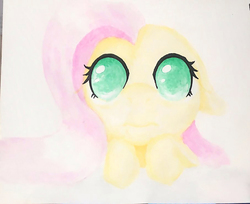 Size: 900x735 | Tagged: safe, artist:cocopommel, fluttershy, pegasus, pony, g4, cute, female, floppy ears, looking at you, mare, no pupils, shyabetes, solo, traditional art, watercolor painting