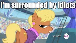 Size: 1100x618 | Tagged: safe, edit, edited screencap, screencap, ms. harshwhinny, earth pony, pony, equestria games (episode), g4, all new, annoyed, butt, hub logo, i'm surrounded by idiots, image macro, meme, plot, reaction image, text