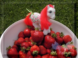 Size: 2048x1536 | Tagged: safe, artist:larrachersan, sugarberry, g1, bowl, food, irl, photo, solo, strawberry, toy