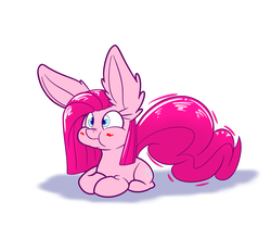 Size: 1280x1067 | Tagged: safe, artist:heir-of-rick, pinkie pie, earth pony, pony, g4, big ears, blushing, cute, diapinkes, ear fluff, female, pinkamena diane pie, ponk, prone, puffy cheeks, scrunchy face, simple background, solo, white background