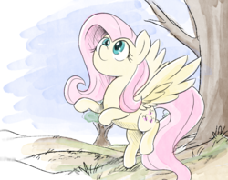 Size: 1204x952 | Tagged: safe, artist:deadlycomics, fluttershy, pegasus, pony, g4, female, flying, looking up, solo, spread wings, wings