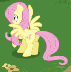 Size: 312x317 | Tagged: safe, screencap, fluttershy, pegasus, pony, g4, it ain't easy being breezies, butt, cropped, female, flutterbutt, mare, plot, solo, spread wings, wings