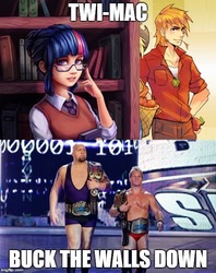 Size: 500x632 | Tagged: safe, big macintosh, twilight sparkle, human, g4, big show, humanized, irl, irl human, jericho, male, meme, photo, wwe