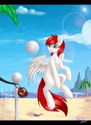 Size: 696x960 | Tagged: safe, artist:the---sound, oc, oc only, pegasus, pony, ball, beach, solo, volleyball, volleyball net