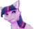 Size: 900x769 | Tagged: safe, artist:vampireselene13, twilight sparkle, cat, g4, bust, catified, female, portrait, simple background, solo, species swap, transparent background, twilight cat, warrior cats