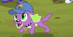 Size: 372x189 | Tagged: safe, screencap, spike, spike the regular dog, dog, equestria girls, g4, legend of everfree, cap, converse, hat, male, shoes, solo