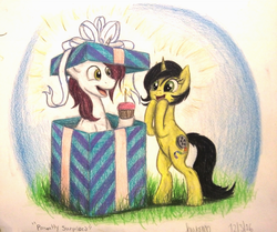 Size: 1270x1060 | Tagged: safe, artist:thefriendlyelephant, oc, oc only, oc:pauly sentry, oc:snowy do, earth pony, pony, unicorn, birthday, candle, commission, cupcake, food, gift art, gift giving, present, ribbon, surprised, traditional art