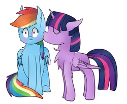 Size: 988x809 | Tagged: safe, artist:sprinkledashyt, rainbow dash, twilight sparkle, alicorn, pony, g4, blushing, eyes closed, female, fluffy, kissing, lesbian, ship:twidash, shipping, twilight sparkle (alicorn)