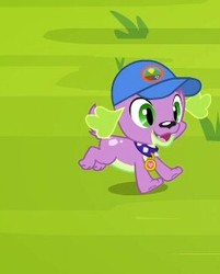 Size: 249x310 | Tagged: safe, screencap, spike, spike the regular dog, dog, equestria girls, g4, my little pony equestria girls: legend of everfree, cap, hat, male, solo