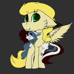 Size: 2560x2560 | Tagged: safe, artist:brokensilence, oc, oc only, oc:mira songheart, oc:noctis, draconequus, adorable face, cute, draconequified, duo, female, high res, male, noctira, shipping, smolpone, species swap, straight