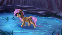 Size: 1920x1080 | Tagged: safe, artist:miokomata, fluttershy, pegasus, pony, g4, clearing, female, forest, mare, pond, solo, swamp
