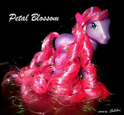 Size: 518x480 | Tagged: safe, artist:chelidoni, petal blossom (g3), g3, irl, photo, solo, toy