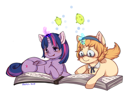 Size: 748x556 | Tagged: safe, artist:rocky_429, twilight sparkle, alicorn, pony, g4, anime, cute, little witch academia, lotte jansson, pixiv, ponified, simple background, twilight sparkle (alicorn), white background