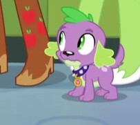 Size: 203x181 | Tagged: safe, screencap, applejack, fluttershy, spike, dog, equestria girls, g4, my little pony equestria girls: rainbow rocks, apple, boots, cowboy boots, food, high heel boots, lockers, solo focus, spike the dog