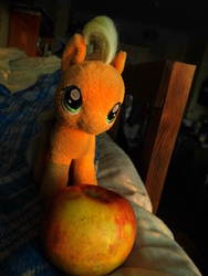 Size: 3456x4608 | Tagged: safe, artist:mfg637, applejack, earth pony, pony, g4, apple, female, food, high res, irl, mare, photo, photography, plushie, solo, sun light