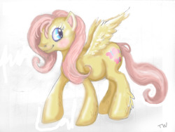 Size: 1200x900 | Tagged: safe, artist:sharkledog, fluttershy, pegasus, pony, g4, female, mare, smiling, solo