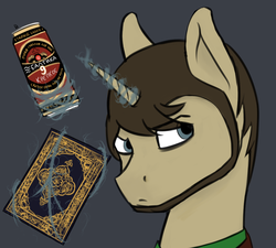 Size: 958x864 | Tagged: safe, artist:syntiset, oc, oc only, oc:maddyson, pony, unicorn, alcohol, baltic, baltic 9, beard, beer, book, bust, facial hair, koran, male, russian, solo, stallion