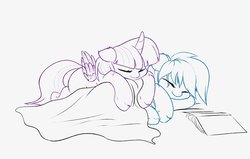 Size: 1200x764 | Tagged: safe, artist:elzzombie, rainbow dash, twilight sparkle, alicorn, pony, g4, blanket, book, female, lesbian, pony pillow, ship:twidash, shipping, sleeping, twilight sparkle (alicorn)