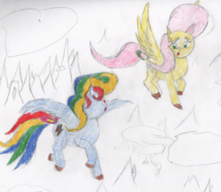 Size: 788x684 | Tagged: safe, artist:tuxedo-guy2, fluttershy, rainbow dash, g1, g4, g4 to g1, generation leap, traditional art