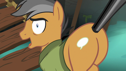 Size: 1280x720 | Tagged: safe, screencap, quibble pants, earth pony, pony, g4, season 6, stranger than fan fiction, butt, cute, cutie mark, flank, male, open mouth, out of context, plot, plot shot, quibble butts, quibblebetes, solo, stallion, tail pull