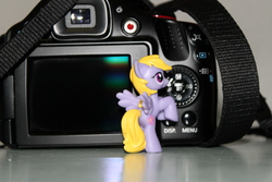 Size: 4272x2848 | Tagged: safe, artist:flicksi, lily blossom, g4, blind bag, camera, high res, irl, photo, solo, toy