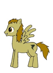 Size: 539x749 | Tagged: safe, artist:pizzamovies, oc, oc only, oc:twister breeze, pegasus, pony, male, profile, sketchbook, smiling, solo, standing